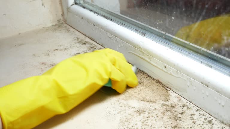 Laurens, SC Mold Removal Company